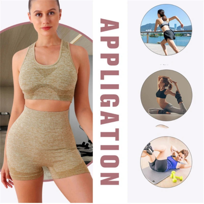 Conjunto Feminino de Treino Sem Costura - Shorts, Sutiã Esportivo para Academia