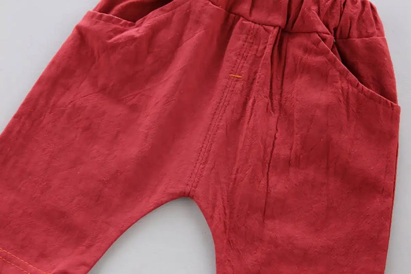 Conjunto Infantil de Verão em Algodão: Camisa Estilosa e Shorts para Meninos em 2 Peças